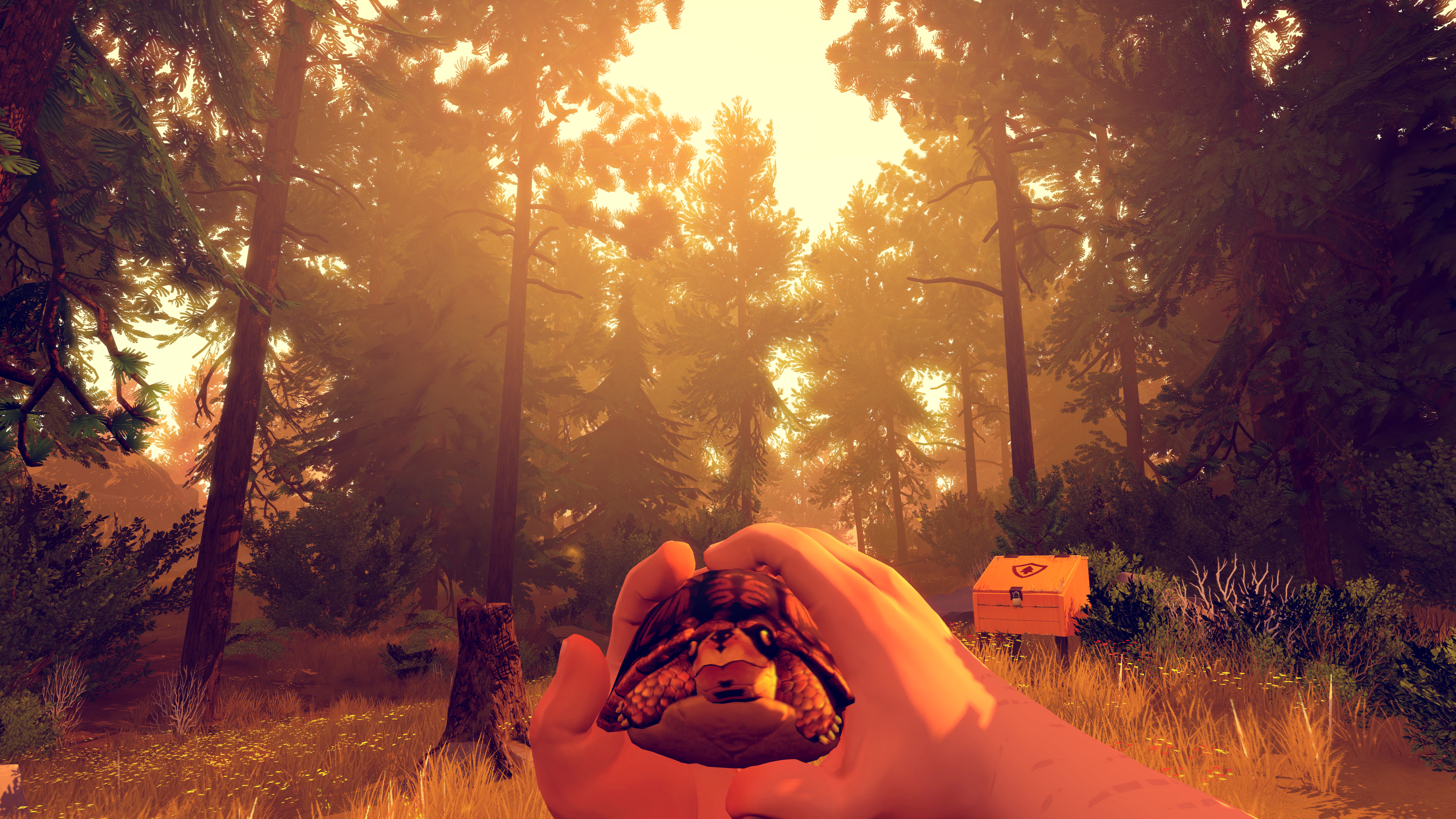 Firewatch · Environmental Storytelling